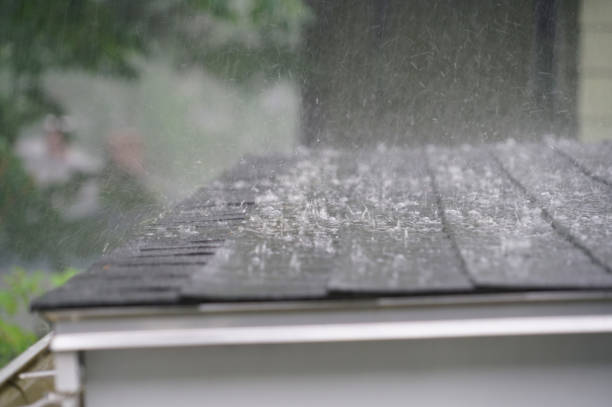 Best Cold Roofs  in Ohatchee, AL