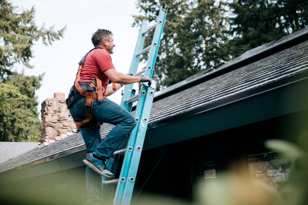 Best Roof Insulation Installation  in Ohatchee, AL