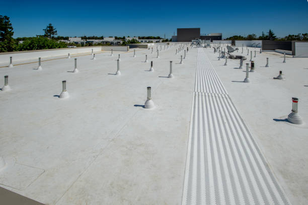 Best Roof Coating and Sealing  in Ohatchee, AL